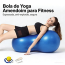 Almofada Disco Equilíbrio 33cm Inflável 200kg Exercícios Fitness Roller Liberação Miofascial Soltura